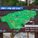 봉황산나래숲 이미지