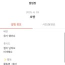 우쭈쭈플렉스 강아지 유치원 호텔 이미지