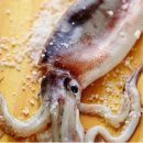 조양물산 이미지