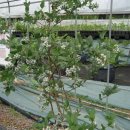 독불장군 이미지