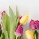 비경한의원 이미지