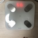 웨딩관리 다이어트환 강남라인 슬림환 감량 1주 후기