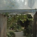 식물원옆카페 이미지