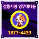 더강릉포레 이미지