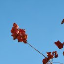 문화광장(공원) 이미지