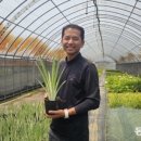 한국의정원 이미지