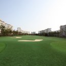 테디밸리CC 이미지