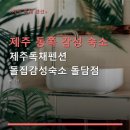 제주독채펜션돌집감성숙소돌담점 네이버블로그