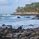 정을품은 펜션 이미지