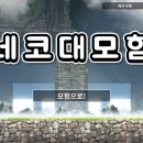 네코켓 네이버블로그
