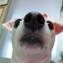 나무숨(주)