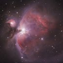 정남진 편백숲 우드랜드 이미지