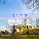 (주)경주산림환경 이미지