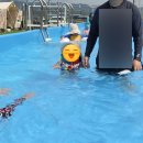 아빠올때아이스크림송산점 | 대구 근교 물놀이장 추천[올데이캠프닉] 글램핑까지 즐긴 키즈 캠프닉솔직후기