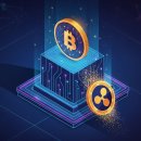 BNB(비앤비) 이미지