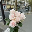 헤어베이직(야간) | 파리 조성원스냅 베이직 선셋+야간 촬영후기