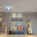 소노문 비발디파크 이미지