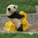 종현어촌마을 이미지