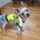 구이일이샵