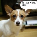 강남-017 이미지