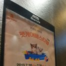 벨라시타약국 이미지