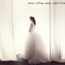 다온컴퍼니 이미지