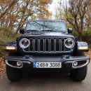 카스토리 이미지