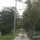 학암낚시터 이미지