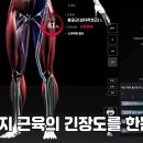 블러썸PT 이미지
