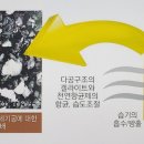 무진양식장 이미지