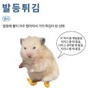 시영다방 | 밀린 일상들