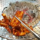 대박꼼장어 이미지