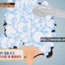 핑거루트헤어