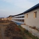 희둘영목장 이미지