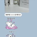 바이레도신세계백화점 | 강남 신세계백화점 바이레도 향수 구매후기 가격 선물 추천 내돈내산