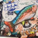 협력 협동 보드게임! 팔딱팔딱 생선가게, 보드게임지도사 스터디