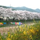 백구공원 이미지