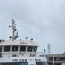 거제 장사도 까멜리아 아이랑 가볼만한 해상공원 솔직 후기
