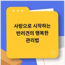 베이비몽 | 베이비몽 강아지분양 인천청라점에서 차근차근 알아본 입양 준비 이야기!