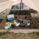 호박게임장 이미지