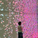 하당센터-84 | 담양실내데이트, 소아르떼 미디어센터