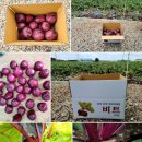 우솔농장 이미지