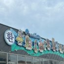 만 수산 | 삼천포용궁수산시장 가족이랑 가볼만한 곳 수산시장, 내돈내산 후기