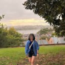 케이팝민박 | 시드니에서 멜버른 이동 비행기 기차 젯스타 항공 지연 좌석