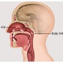 YES한방병원 이미지