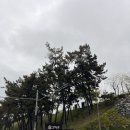 대영농원5농장 | 고창 숙소 상하농원 파머스 빌리지 파머스라운지, 파머스마켓, 파머스카페 후기