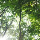 운문산자연휴양림 이미지