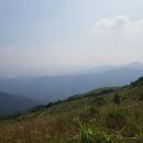 엑스라이프 티스토리