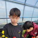 용인대 명인 태권도장 이미지