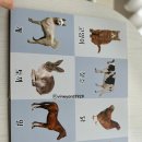 가나다 한글교실 | 글렌도만 영재교실 수강 선물 모아보기/ (글랜도만 교재교구)